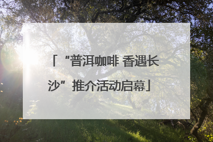 “普洱咖啡 香遇长沙”推介活动启幕