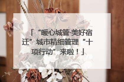 “暖心城管·美好宿迁”城市精细管理“十项行动”来啦！
