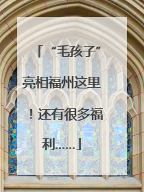 “毛孩子”亮相福州这里！还有很多福利……