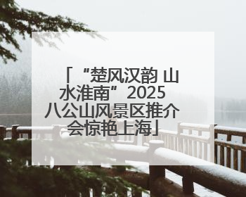 “楚风汉韵 山水淮南”2025八公山风景区推介会惊艳上海