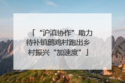 “沪滇协作”助力待补镇鹧鸡村跑出乡村振兴“加速度”