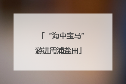 “海中宝马”游进霞浦盐田