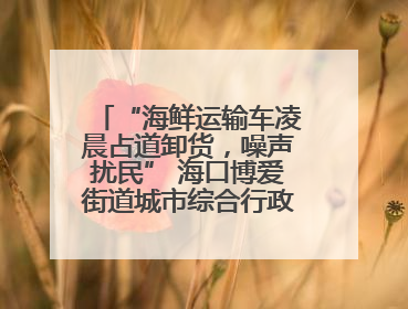 “海鲜运输车凌晨占道卸货，噪声扰民” 海口博爱街道城市综合行政执法中队：将联合交警加强长堤路一带巡逻