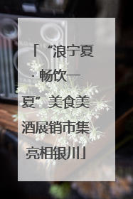 “浪宁夏· 畅饮一夏”美食美酒展销市集亮相银川