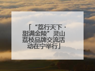 “荔行天下・甜满金陵”灵山荔枝品牌交流活动在宁举行