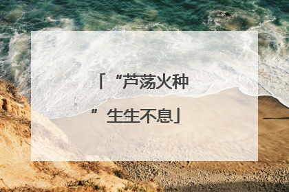 “芦荡火种”生生不息