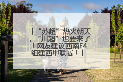 “苏超”热火朝天，“川超”也要来了！网友建议西南F4组建西甲联赛！