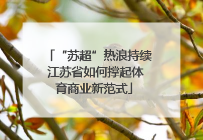 “苏超”热浪持续 江苏省如何撑起体育商业新范式
