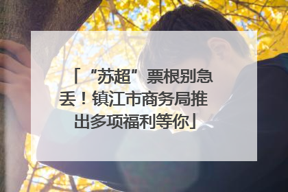 “苏超”票根别急丢！镇江市商务局推出多项福利等你
