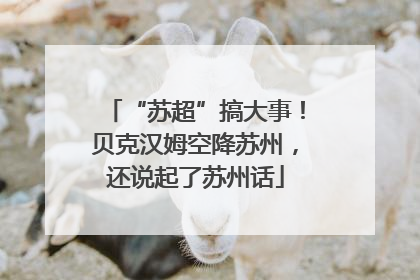 “苏超”搞大事！贝克汉姆空降苏州，还说起了苏州话