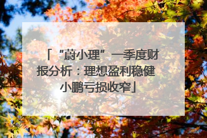 “蔚小理”一季度财报分析：理想盈利稳健 小鹏亏损收窄