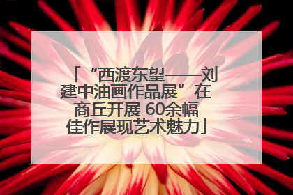 “西渡东望——刘建中油画作品展”在商丘开展 60余幅佳作展现艺术魅力
