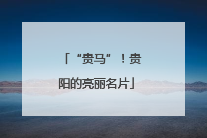 “贵马”！贵阳的亮丽名片