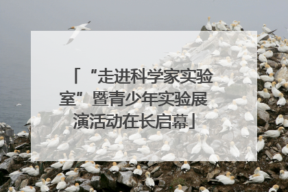 “走进科学家实验室”暨青少年实验展演活动在长启幕
