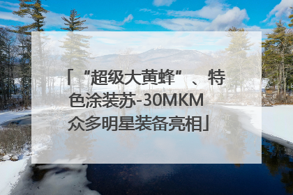 “超级大黄蜂”、特色涂装苏-30MKM 众多明星装备亮相