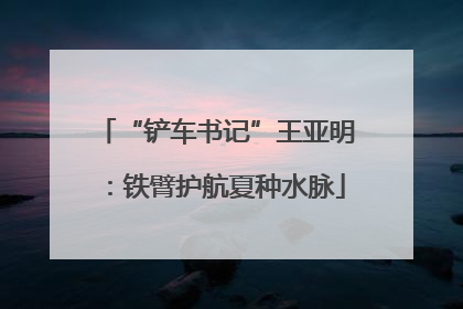 “铲车书记”王亚明：铁臂护航夏种水脉