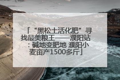“黑松土活化肥”寻找最美粮王——濮阳站：碱地变肥地 濮阳小麦亩产1500多斤