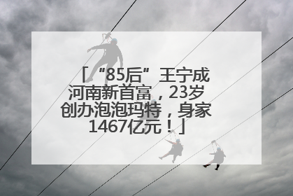 “85后”王宁成河南新首富，23岁创办泡泡玛特，身家1467亿元！