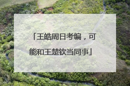 王皓周日考编，可能和王楚钦当同事