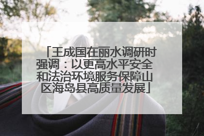 王成国在丽水调研时强调：以更高水平安全和法治环境服务保障山区海岛县高质量发展