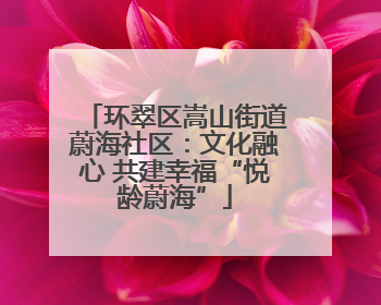 环翠区嵩山街道蔚海社区：文化融心 共建幸福“悦龄蔚海”