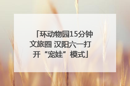 环动物园15分钟文旅圈 汉阳六一打开“宠娃”模式