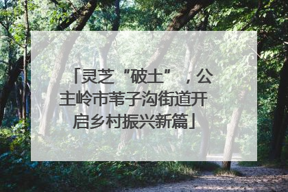 灵芝“破土”，公主岭市苇子沟街道开启乡村振兴新篇