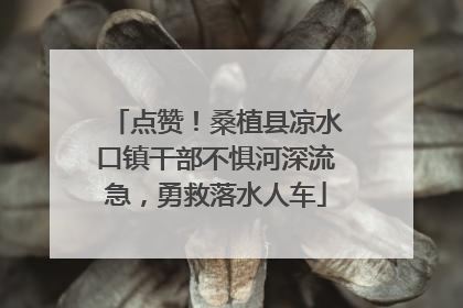 点赞！桑植县凉水口镇干部不惧河深流急，勇救落水人车