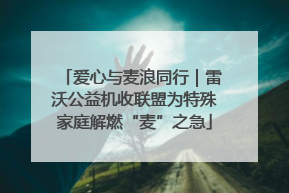 爱心与麦浪同行｜雷沃公益机收联盟为特殊家庭解燃“麦”之急