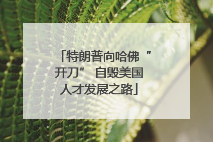 特朗普向哈佛“开刀” 自毁美国人才发展之路