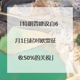 特朗普建议自6月1日起对欧盟征收50%的关税
