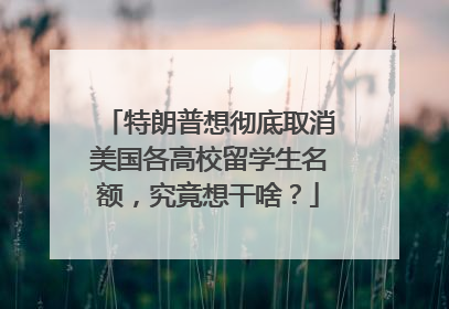 特朗普想彻底取消美国各高校留学生名额，究竟想干啥？