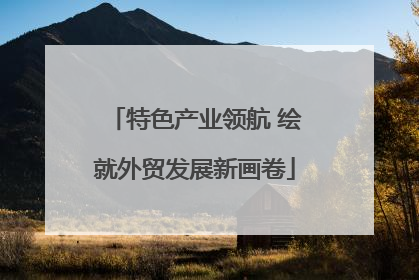 特色产业领航 绘就外贸发展新画卷