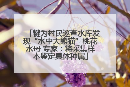 犍为村民巡查水库发现“水中大熊猫”桃花水母 专家：将采集样本鉴定具体种属