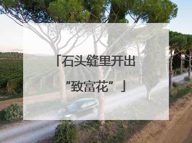 石头缝里开出“致富花”