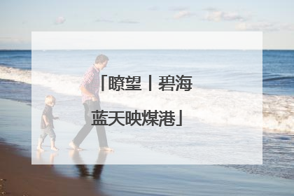 瞭望丨碧海蓝天映煤港
