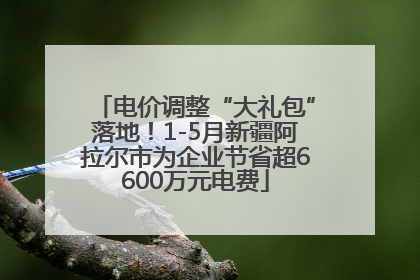 电价调整“大礼包”落地！1-5月新疆阿拉尔市为企业节省超6600万元电费