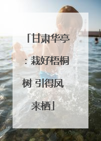 甘肃华亭：栽好梧桐树 引得凤来栖
