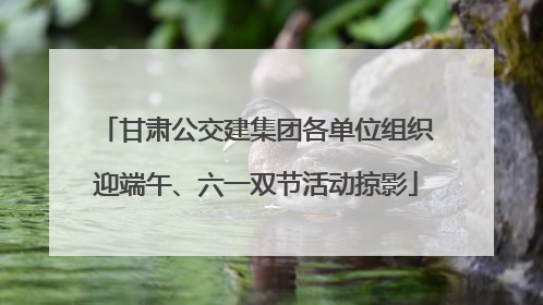 甘肃公交建集团各单位组织迎端午、六一双节活动掠影