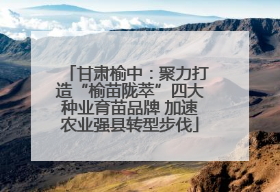 甘肃榆中：聚力打造“榆苗陇萃”四大种业育苗品牌 加速农业强县转型步伐
