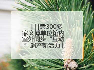 甘肃300多家文博单位馆内室外同步“互动”遗产新活力