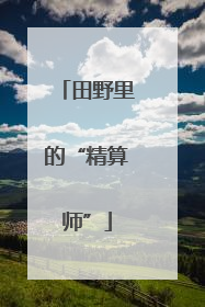 田野里的“精算师”