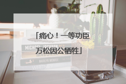 痛心！一等功臣万松因公牺牲