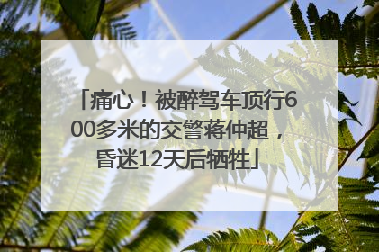 痛心！被醉驾车顶行600多米的交警蒋仲超，昏迷12天后牺牲