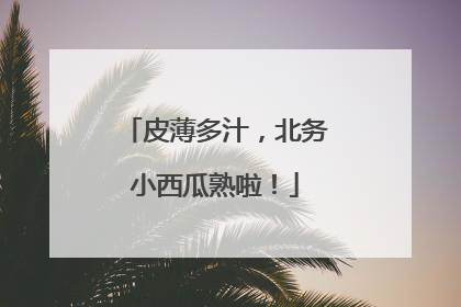 皮薄多汁，北务小西瓜熟啦！