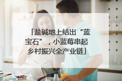 盐碱地上结出“蓝宝石”，小蓝莓串起乡村振兴全产业链