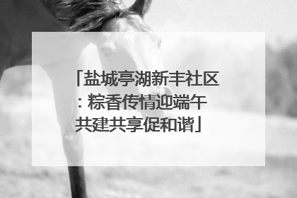 盐城亭湖新丰社区：粽香传情迎端午 共建共享促和谐
