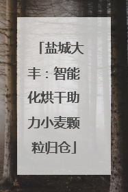 盐城大丰：智能化烘干助力小麦颗粒归仓
