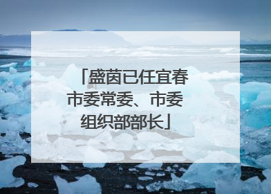 盛茵已任宜春市委常委、市委组织部部长