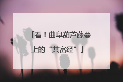 看！曲阜葫芦藤蔓上的“共富经”